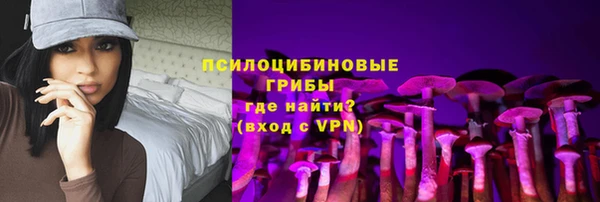 шишки Алзамай