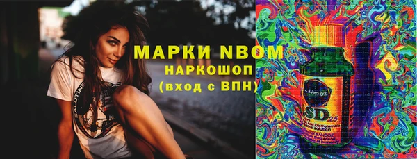 шишки Алзамай
