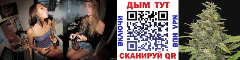 Конопля план  Курлово 